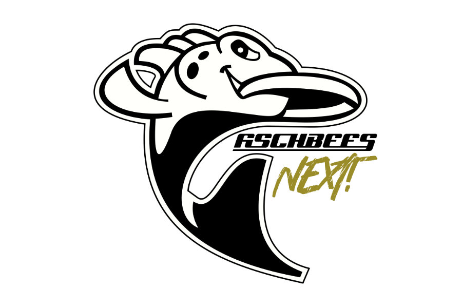 Logo Fischbees Next